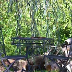 Chez Madame Irma Nyaraló *