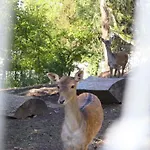 Nyaraló Chez Madame Irma