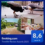 Nyaraló Chez Madame Irma