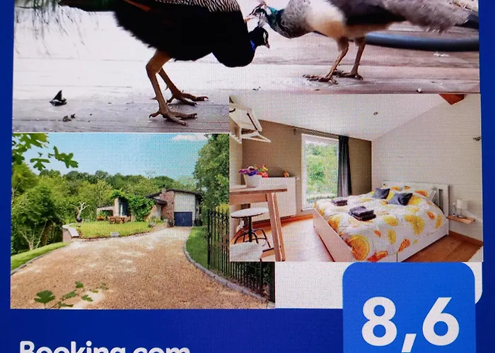 Ferienhaus Chez Madame Irma